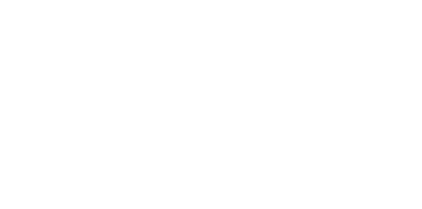 Stupor Mundi